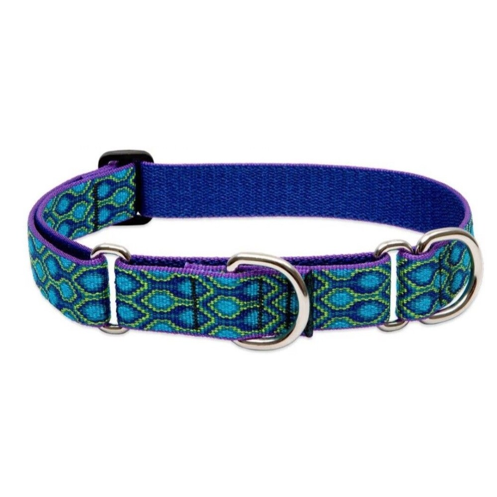 LupinePet Originals 1" Rain Song 19-27" Martingale Collar for Large Dogs, NWT